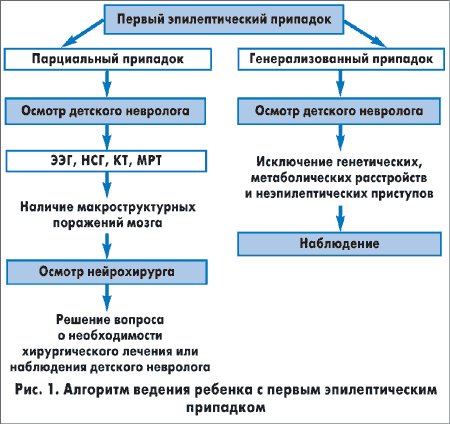 Основные признаки эпилепсии