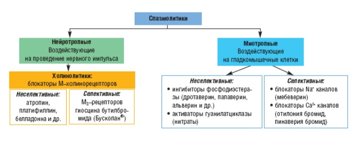 Спазмолитики