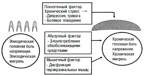схема головная боль хронического характера