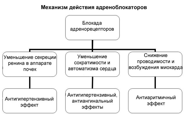 Группа адреноблокаторов