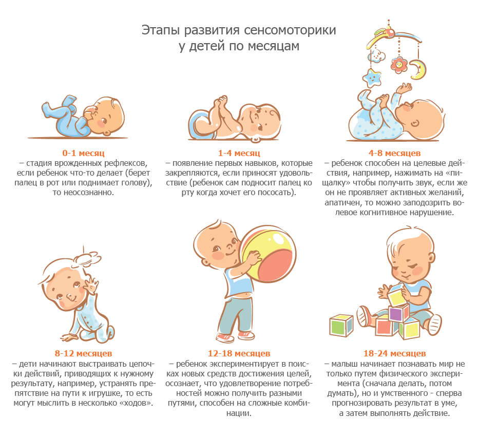 Основные этапы когнитивного развития ребенка по возрастам и их характеристика