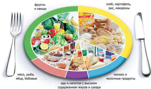 правильное питание