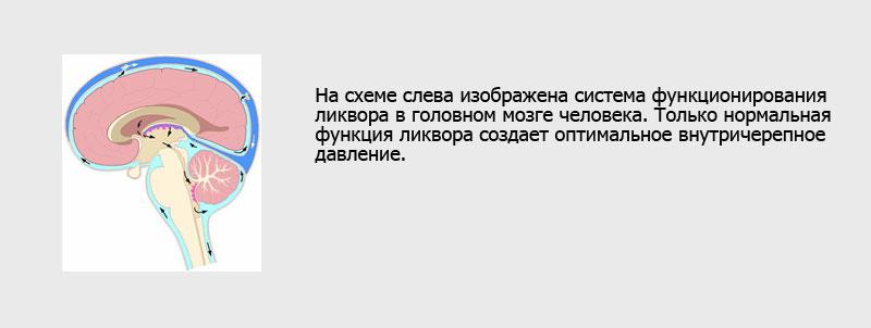 мозг циркуляция ликвора