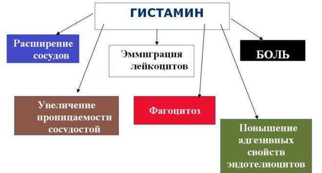 Гистамин