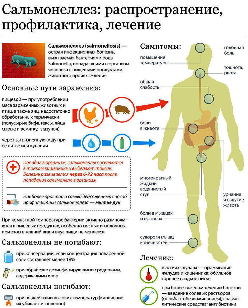 сальмонелиоз