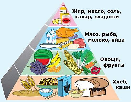 пирамида питания