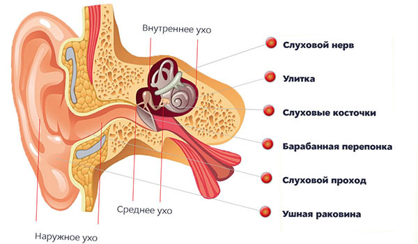Схема уха, Болезнь Меньера