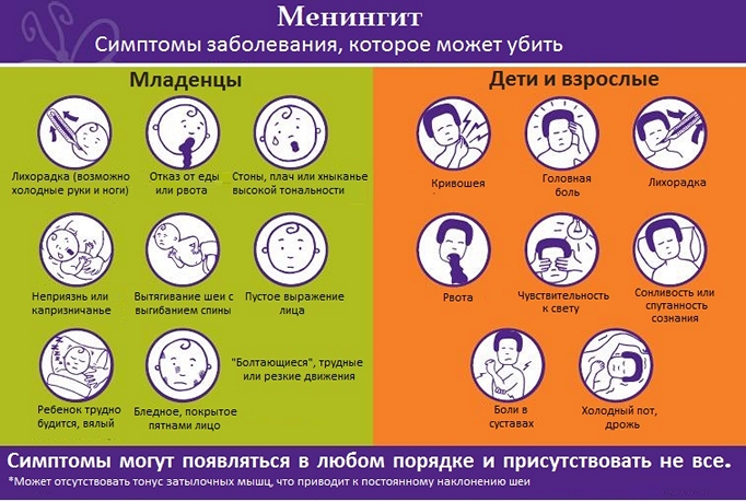 менингит симптомы - схема