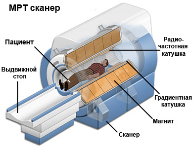 мрт как делают схема
