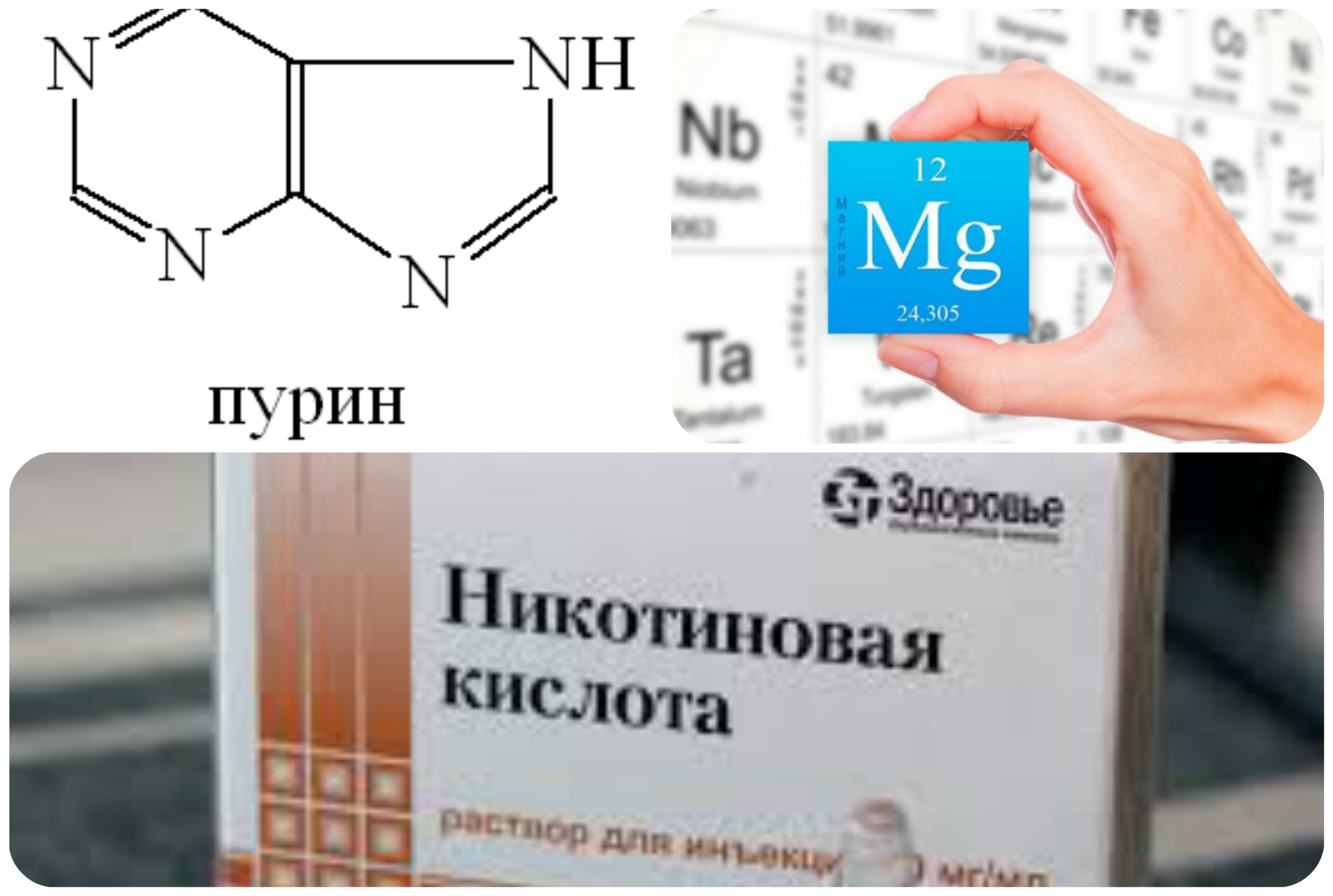 никотиновая кислота магний пурин