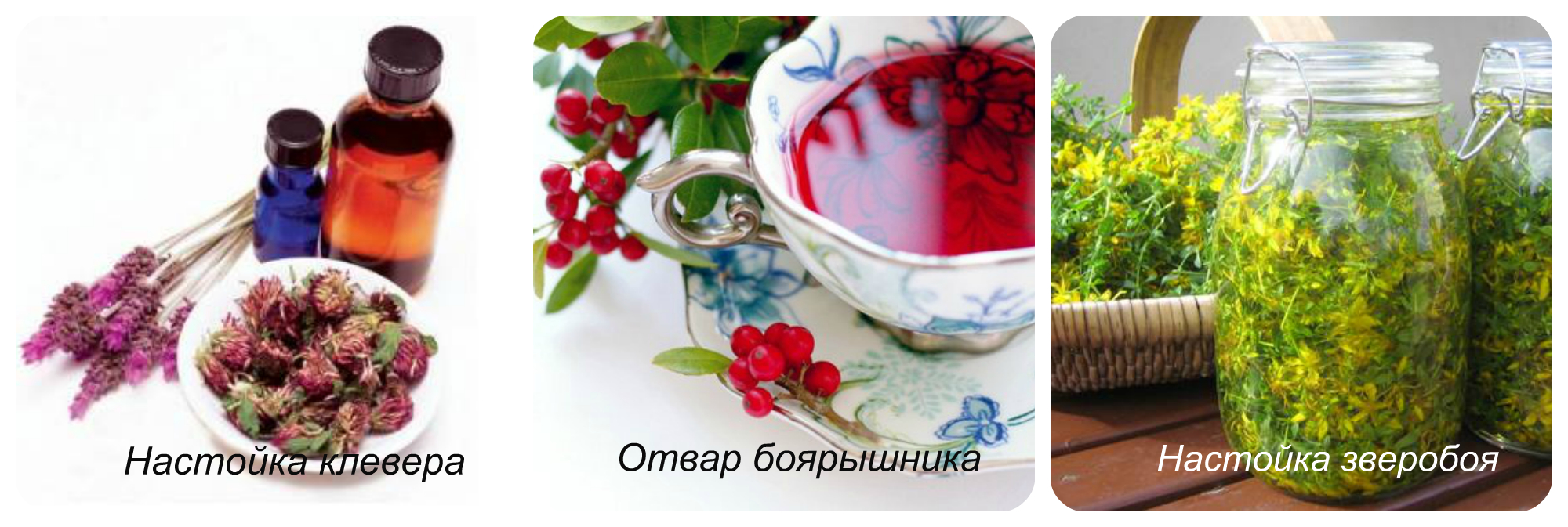 отвар боярышника, настойка календулы и клевера