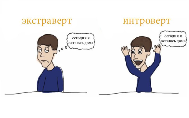 интроверт и экстроверт