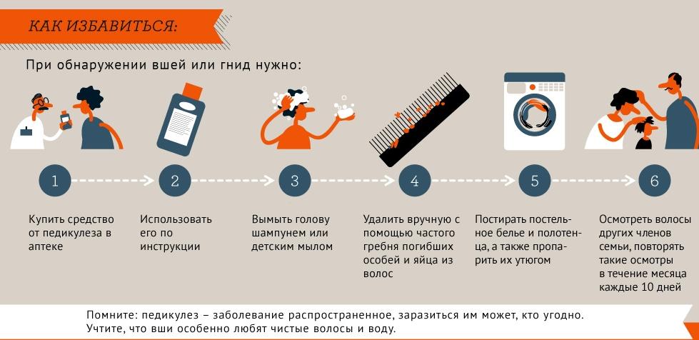 лечении педикулеза в домашних условиях