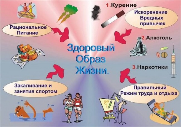 здоровый образ жизни