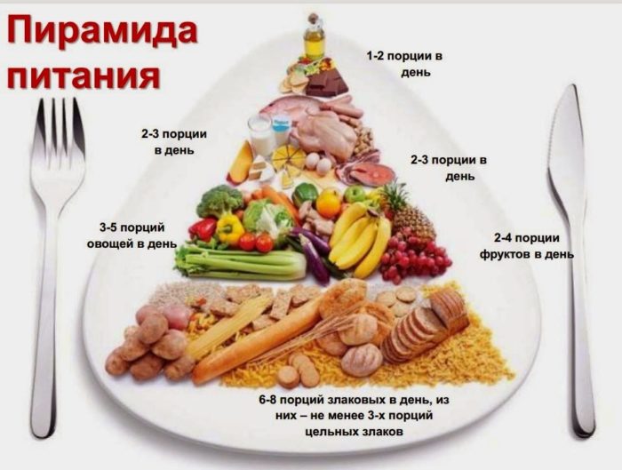 пирамида питания
