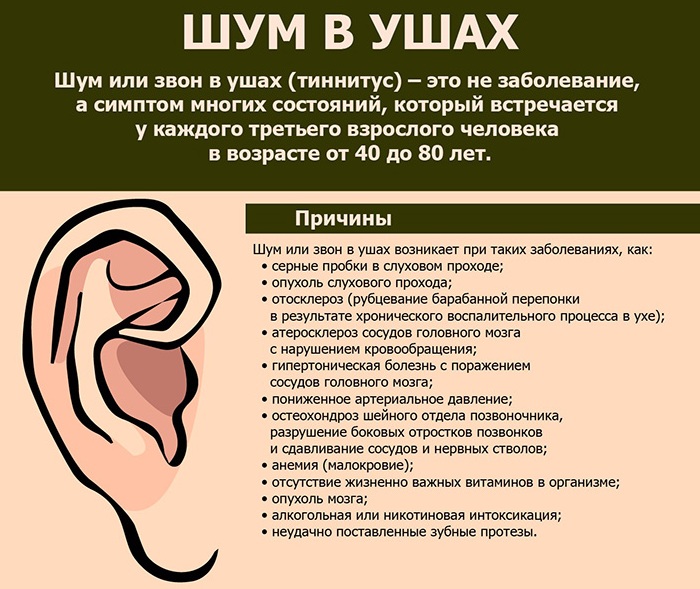 причины гула в ушах