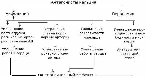 Антагонисты кальция