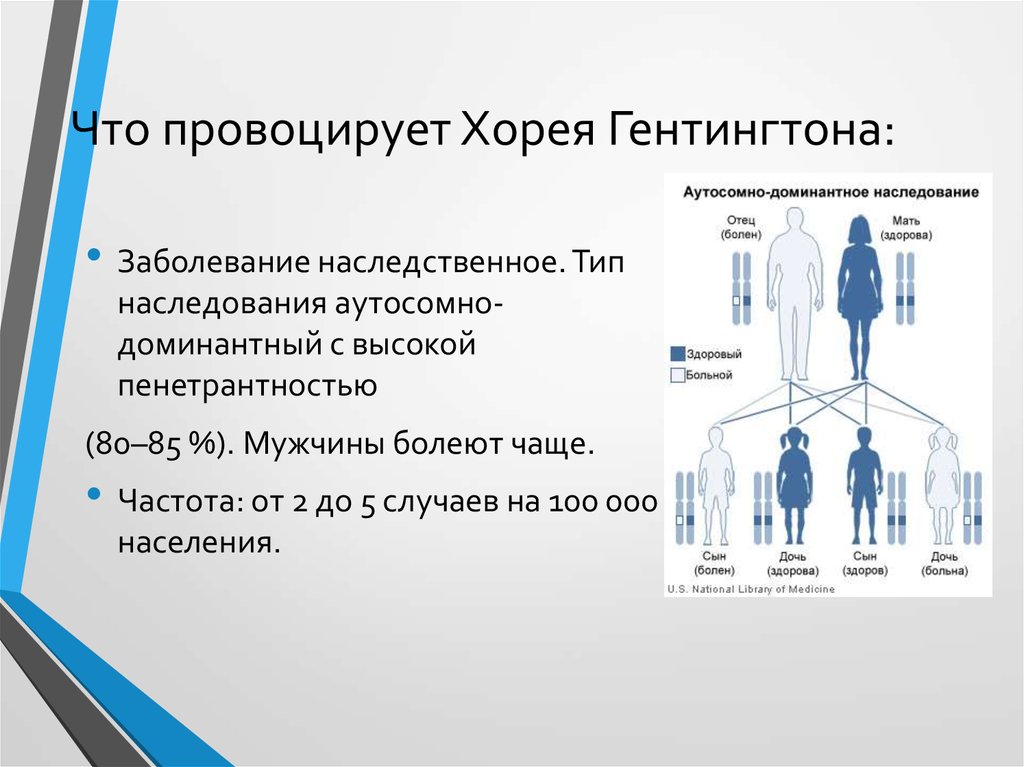 Первые проявления болезни (хореи) Гентингтона, методы диагностики и лечения этого заболевания