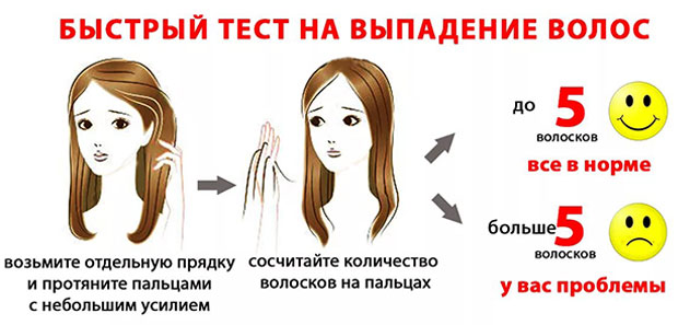 выпадение волос норма и патология