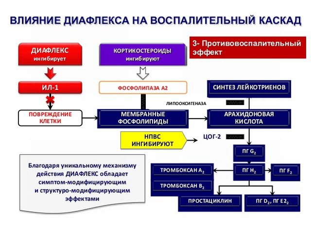 Диафлекс – инструкция по приему Диафлекс – влияние