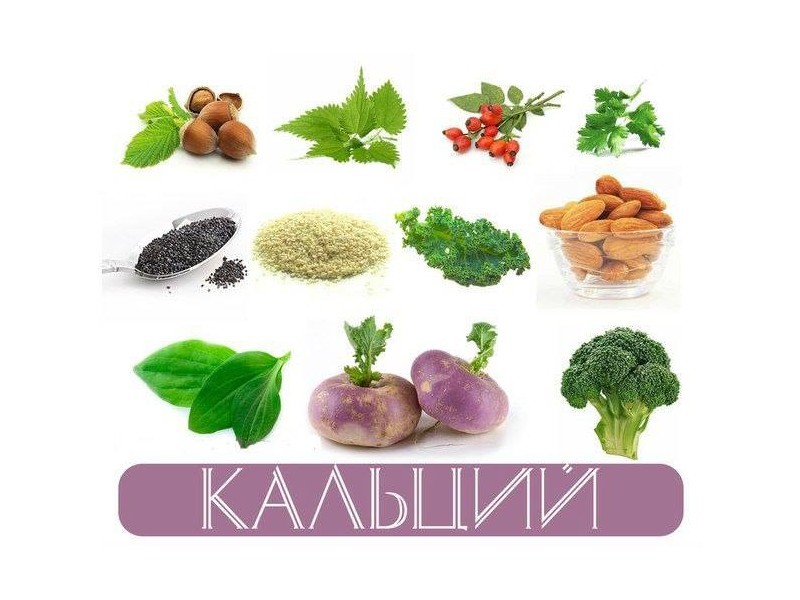 источники кальция