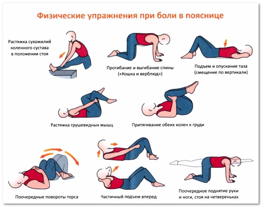 ЛФК при боли в пояснице