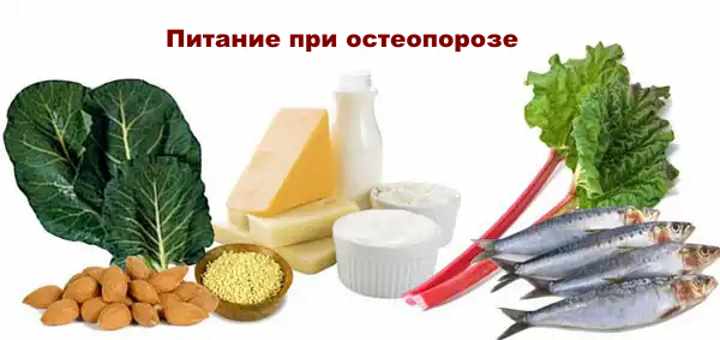 питание при остеопорозе