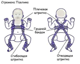 Стремена Павлика