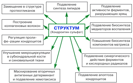 Структум: инструкция по применению Свойства структум