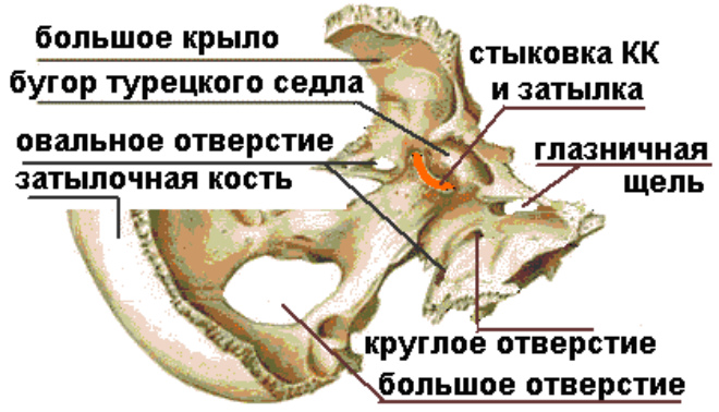 турецкое седло