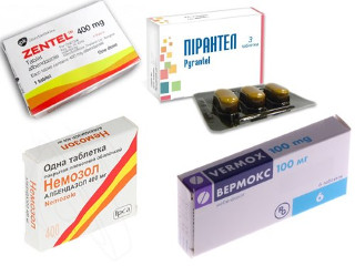 Лечение паразитов в организме человека таблетками