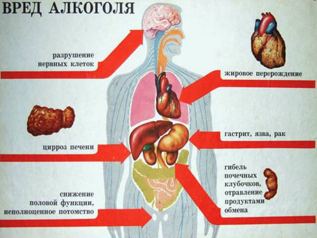Сухое красное вино польза и вред