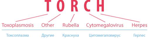 Расшифровка аббревиатуры ТОРЧ