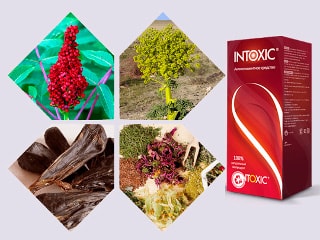 Препарат Intoxic