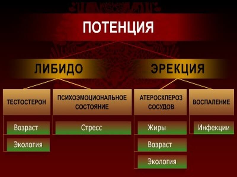 Что влияет на потенцию мужчины - возраст, стресс, здоровье
