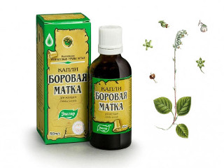 Боровая матка капли