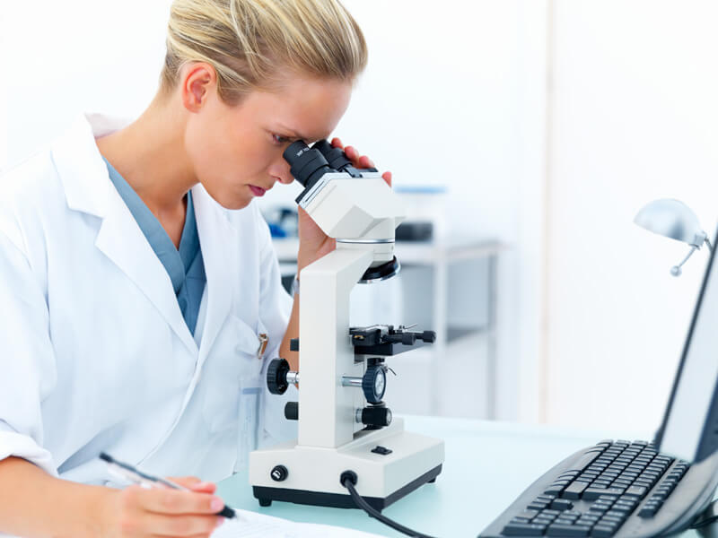 Ureaplasma urealyticum что это
