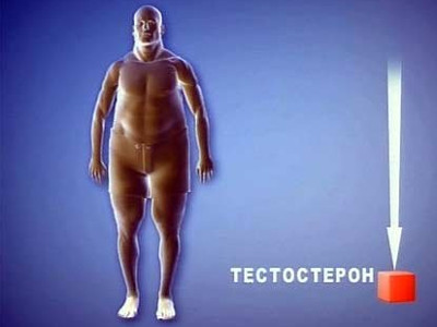Зависимость уровня тестостерона от образа жизни
