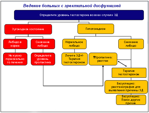 Ведение больных, у которых слабая эрекция