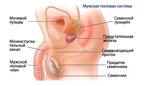 Как лечить уретрит у мужчин