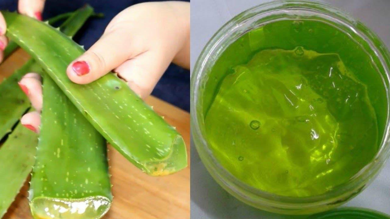 nastojka_zveroboj_i_aloe_1554994558_5caf557e76a54.jpg