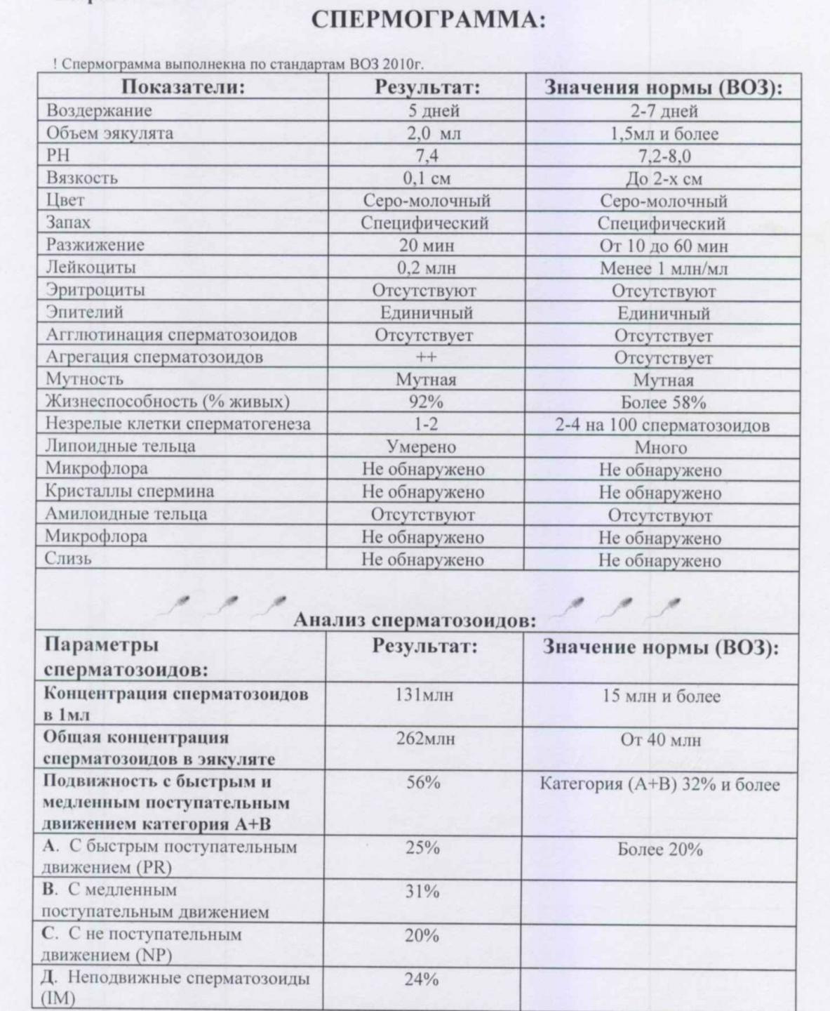 Пример спермограммы