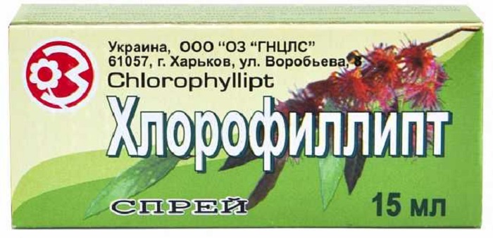 Хлорофиллипт спрей