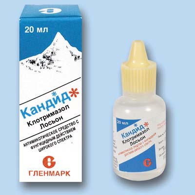 Кандид
